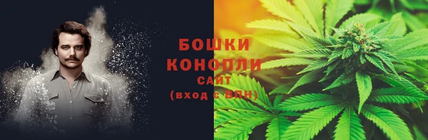 прущие крисы Абаза