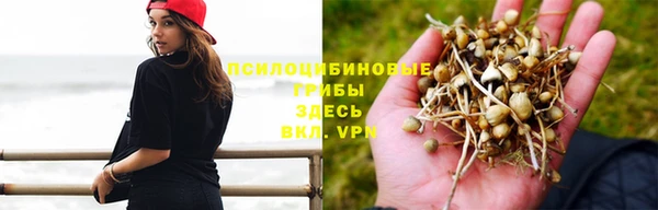 синтетический гашиш Абдулино