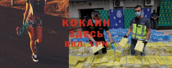 прущие грибы Ростов