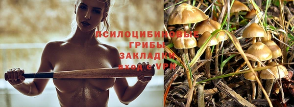 прущие крисы Абаза