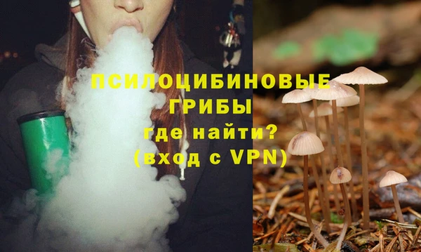 прущие крисы Абаза