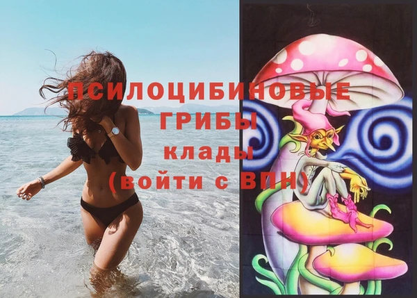 СК Абинск