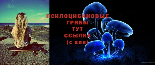 прущие крисы Абаза