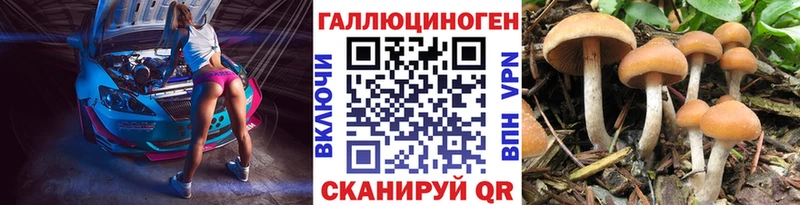 купить наркотик  Гагарин  Псилоцибиновые грибы прущие грибы 