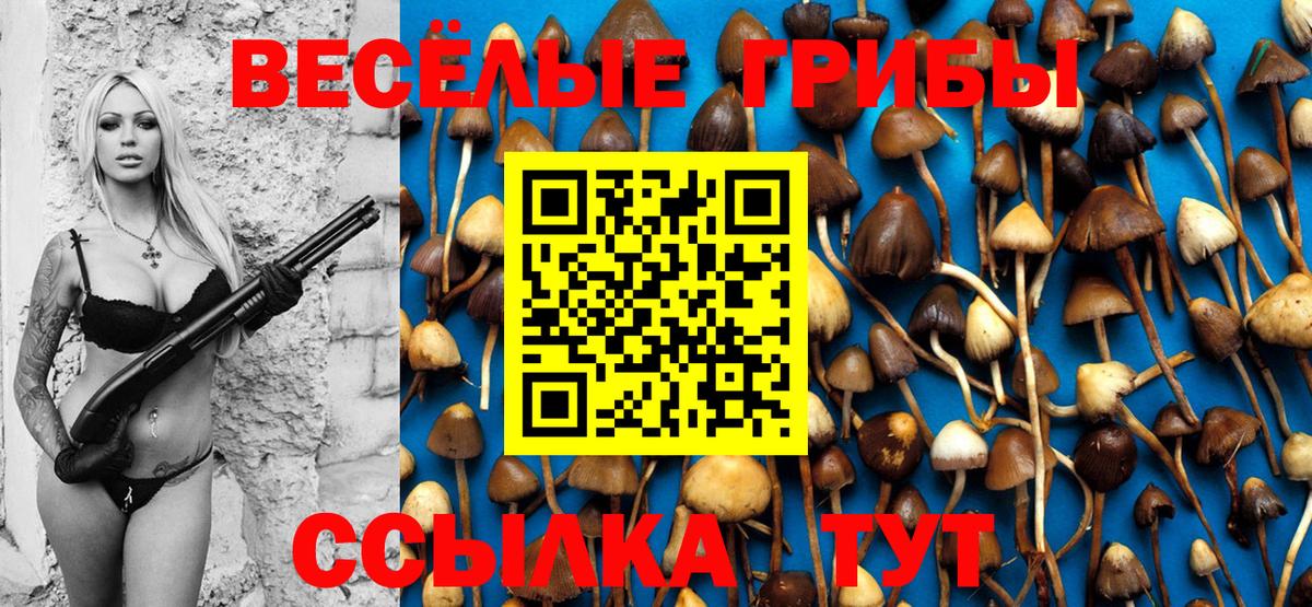 Галлюциногенные грибы MAGIC MUSHROOMS  Галлюциногенные грибы GOLDEN TEACHER  Гагарин  Вход с VPN 